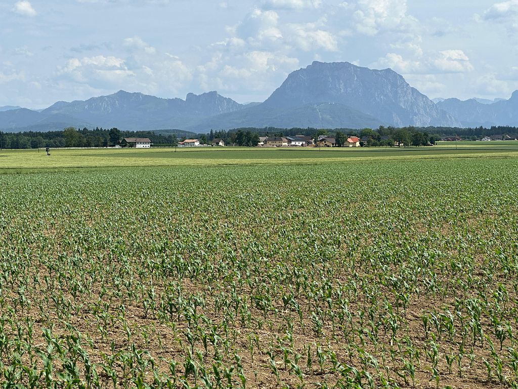 Rossfeld (261).jpg
